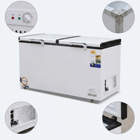 Réfrigérateur horizontal grande capacité à congélation rapide, congélateur à double porte