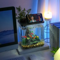 Aquarium transparent en acrylique, résistant aux chocs, petit réservoir écologique pour la décoration de salon à domicile
