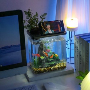 Aquarium transparent en acrylique, résistant aux chocs, petit réservoir écologique pour la décoration de salon à domicile - Product Image 2