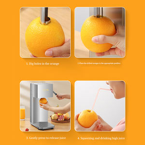 Sıcak satış sıkacağı ekstraktör makinesi yeni stil en ucuz Pitaya turuncu sıkacağı - Product Image 6