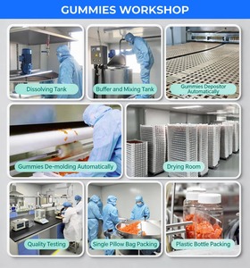 วิตามินกัมมี่คอลลาเจนโปรไบโอติก 3 in 1 สำหรับผู้หญิง แบรนด์ OEM ผลิตภัณฑ์เสริมอาหารจากธรรมชาติเพื่อสุขภาพผิว การเผาผลาญ และสุขภาพลำไส้ - Product Image 6