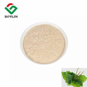 Экстракт шелухи псиллиум, порошок, бесплатный образец, порошок шелухи псиллия, оптом - Product Image 2