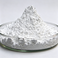Alúmina Gamma Nano Altamente Activa 4N en Polvo, Grado Industrial, Al2O3, Petroquímicos, Catalizador Ambiental, Productos Químicos Finos