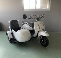 2025 Hot Sale Three Wheel Electric Motorcycle EEC COC 4000w Tricycle Bicycle Sidecar for Adults Electric Ciytcoco Pets Scooter