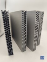 Système de coffrage modulaire en plastique PP pour la construction en coulage massif destiné aux projets immobiliers standard