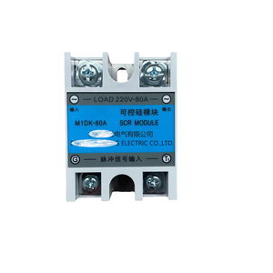 Nuevo y Original Módulo de Relé TA25DU-2.4M de Alta Potencia con Carga de Contacto, Garantía de 1 Año, Tamaño Miniatura, Entrada de Señal Pulsada Controlable - Product Image 3