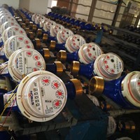 Compteur d'eau prépayé à clavier Multi Jet Dry Dial STS DN15/20/25 IP68 LoRa RF 20 chiffres avec jeton pour projets résidentiels d'eau en Afrique