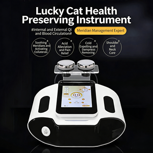 เครื่องมือดูแลสุขภาพ นวดเสริมความงาม เมอริเดียน ทรีเวย์ มาสเตอร์ ไบโออิเล็กทริก - Product Image 6