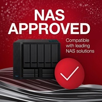 Disco Duro Interno NAS Pro de 10 TB, CMR de 3.5 Pulgadas, SATA 6 Gb/s, 7200 RPM, 256 MB de Caché, RAID (ST10000NT001)