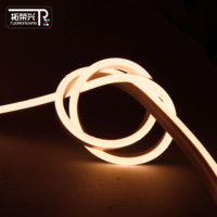 Bande LED néon flexible TRX 6*13mm multicolore à commande intelligente, 5m, étanche IP65, extérieur, 12V USB, CRI 95 élevé, dimmable, tube en silicone