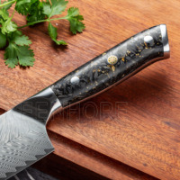 Couteau de chef professionnel japonais KEENHOPE en acier Damas de 5 pouces, 67 couches VG10, couteau de cuisine utilitaire tranchant, manche en fibre de carbone
