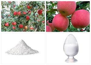 Пищевой порошок яблочного уксуса, халяльный Сертифицированный фруктовый экстракт, Рецепт матери, яблочный уксус - Product Image 6