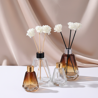 Diffuseur à roseaux en verre transparent avec bouchon, pour aromathérapie, ornement de salon et chambre, purification de l'air