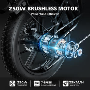 ई बाइक से 20 फैट टायर 250 बाइक से 20 फैट टायर - Product Image 5