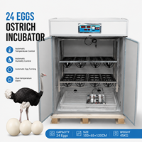 Incubateurs électriques pour 24 œufs d'autruche BeYou Good Price pour l'élevage