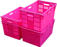 Caisses en plastique empilables pour légumes, tomates et fruits, robustes et résistantes, mini-caisses empilables