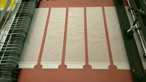 Bolsas de Plástico Translúcidas Personalizadas con Cordón, Bolsas Promocionales de Polietileno para Ropa, Trajes de Baño y Embalaje - Product Image 6