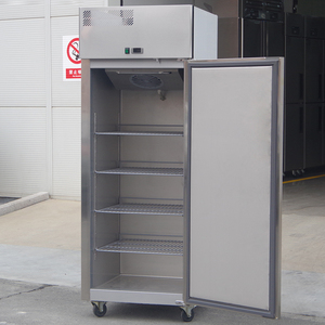 Réfrigérateur à porte simple avec étagère, en acier inoxydable, résistant à la corrosion, congélateur, réfrigérateur commercial, congélateur professionnel - Product Image 2