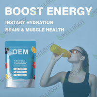 WELLBODY – Poudre d'électrolytes en vrac pour marque privée, hydratation, pré-entraînement, croissance musculaire, complément alimentaire de qualité alimentaire, conditionnement en bouteille