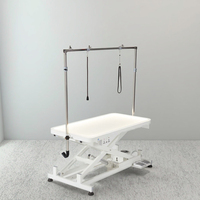 Table de toilettage pour chiens EUR PET, best-seller, professionnelle, électrique, avec levage LED, pour chiens