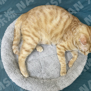 Pet <b>Mats</b> Round Coral Fleece Soft <b>Cat</b> Bed All Seasons Modern Style Hand Washable Pet Pad for <b>Cats</b> - Product Image 2