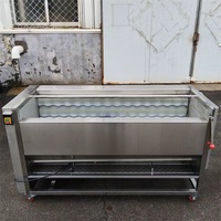Fruit- en groentereinigings- en schilmachine met slakkenroller & oesterborstelontwerp, eenvoudig te bedienen, 220V, 1 jaar garantie