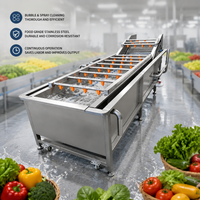 Hoge kwaliteit continue fruit- en groentewasmachine met hoge druk, ozonreiniger voor aardappel, spinazie, sla en transportband