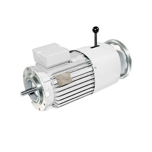 Moteur de frein à courant continu VEM B21R à double ressort de pression pour équipement mécanique - Product Image 1