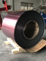 Bobine d'acier prélaqué rose pour appareils électroménagers