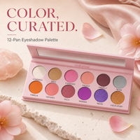 Palette de fards à paupières 12 couleurs avec illuminateur, résistante à l'eau, longue tenue, marque privée, outil de maquillage quotidien