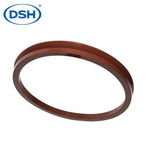 NBR FKM VA160 مكبس هيدروليكي ختم مزدوج التمثيل للآلات الثقيلة - Product Image 3