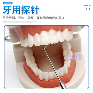 เครื่องมือตรวจฟันเซี่ยงไฮ้ จินจง ทำจากสแตนเลส หัวคู่ สำหรับดูแลช่องปาก ใช้ในบ้าน สีเงิน แบบใช้มือ - Product Image 2