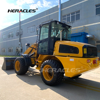 En stock, vente flash : Chargeur agricole H580 avec godet de 1,3 m³ et configuration personnalisée pour l'agriculture et les vergers