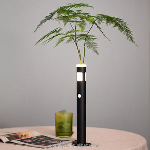 Yüksek kalite DIY restoran kullanımı için <span class=keywords><strong>LED</strong></span> masa lambası USB-C Port uzun-uzun ömürlü pil gece ışıkları ile şarj edilebilir - Product Image 3