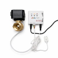 Valve de détection de fuite d'eau intelligente, valve d'arrêt automatique, système de prévention des fuites d'eau, 5VDC