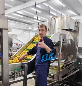 Ligne de production commerciale de pommes de terre frites de haute qualité entièrement automatique de 200 à 1000kg - Product Image 2