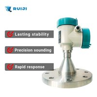 RUIJI Stainless Steel Radar Level Gauge with 2mm Accuracy and OEM Customization