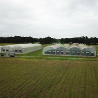 Complete turnkey oplossing voor grote schaal groenten- en sierplantenteelt in multi-span commerciële kassen met PE-folie afdekking