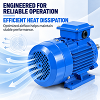 Moteur électrique industriel triphasé à induction AC BIODÉ OEM YE3-100L-2 380V 1,5 kW 2,2 kW 3 kW IE3 haute efficacité 2P 4P 6P