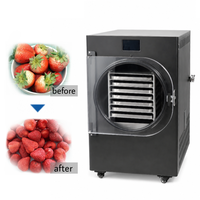 Mesin Pengering Beku Komersial 220V untuk Pengolahan Makanan 20kg Kontrol Digital Vacuum Lyophilizer dengan Garansi 1 Tahun
