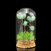 Mini bouteille en verre de cristal de champignon de cristal d'arbre de pierre précieuse de quartz de guérison naturelle en gros