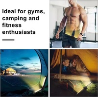 Lampe de travail de gymnastique la plus vendue Lampe de gymnastique à gradation magnétique rechargeable par USB pour poser Lampe de travail COB portable avec maintien à 180 °