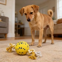 Jouet à mâcher pour chien ETPU, balle solide hautement élastique avec nœud, flottante, résistante à l'eau, jouet interactif pour chien Teddy