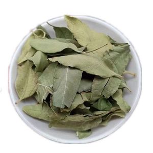 Foglie di Apocynum Venetum Essiccate Senza Zolfo OEM, Materia Prima Erboristica per Tè Benessere e Estratti Vegetali - Product Image 1