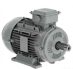 Generador Eléctrico Trifásico WEG W21/W22 de 3kw, 4kw, 5.5kw, 8kw, 10kw, 20kw, 15kw, Alternador, Motor de CA de 220v, 380v, 400V, 690V - Product Image 3