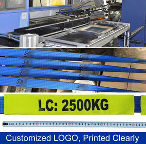 <span class=keywords><strong>Sangle</strong></span> à <span class=keywords><strong>cliquet</strong></span> standard robuste de 50 mm 5T de la marque DHR, 9 m, certifiée CE, en polyester, pour le chargement de marchandises, norme WSTDA-T-1, Swan - Product Image 3