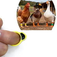 125/134.2kHz LF EM4305/TK4100/FDX-B RFID Çip Mini Etiket Tavuk Ördek Kaz Bacak Bantları Hayvan Takip Edilebilirliği Özelleştirilmiş Logo
