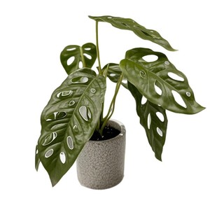Planta artificial de Monstera Dream Castle en maceta de cemento para decoración del hogar, bonsái de escritorio, vegetación. - Product Image 4