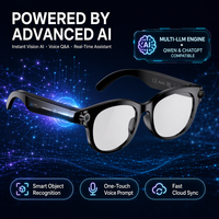Lunettes intelligentes IA avec caméra 1080P, stabilisation d'image, traduction en temps réel, assistant vocal, lecteur de musique, appels téléphoniques, IP67