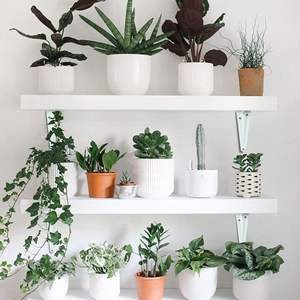 Supports muraux à <span class=keywords><strong>angle</strong></span> droit noirs Sondoly <span class=keywords><strong>pour</strong></span> étagère, supports <span class=keywords><strong>d</strong></span>'étagère muraux à 90 degrés - Product Image 4